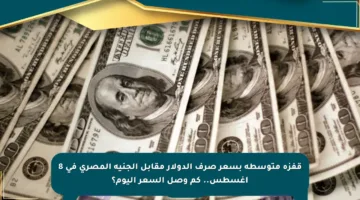 قفزة متوسطة بسعر صرف الدولار مقابل الجنيه المصري في 8 أغسطس.. كم وصل السعر اليوم؟